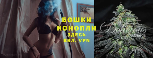 альфа пвп Новодвинск