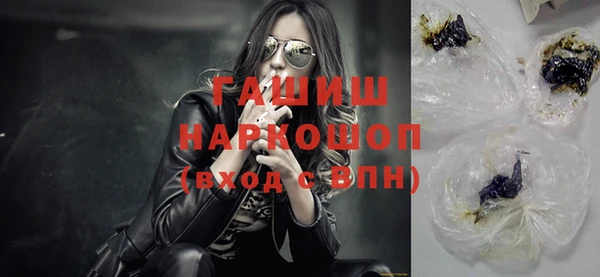 стаф Новозыбков