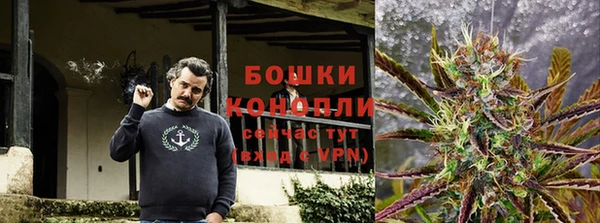 стаф Новозыбков