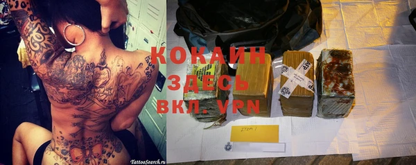 стаф Новозыбков