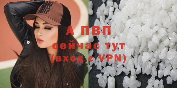 стаф Новозыбков