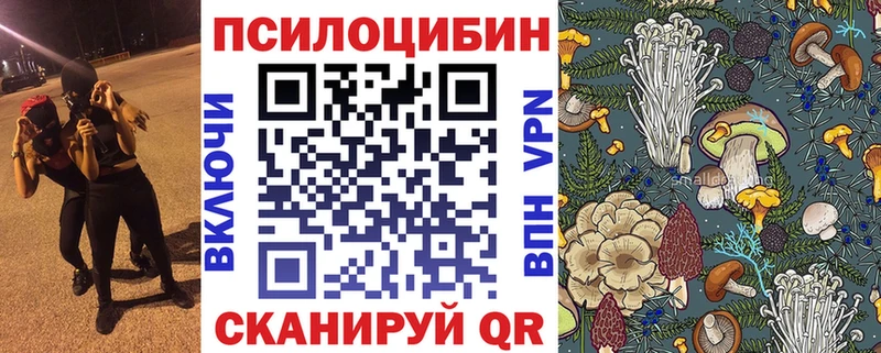 Псилоцибиновые грибы прущие грибы  Купить  Щёкино 