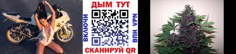 МАРИХУАНА гибрид Щёкино